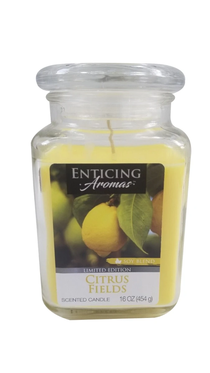 Empire Candles Enticing Aromas Collection, 16oz - Image 2